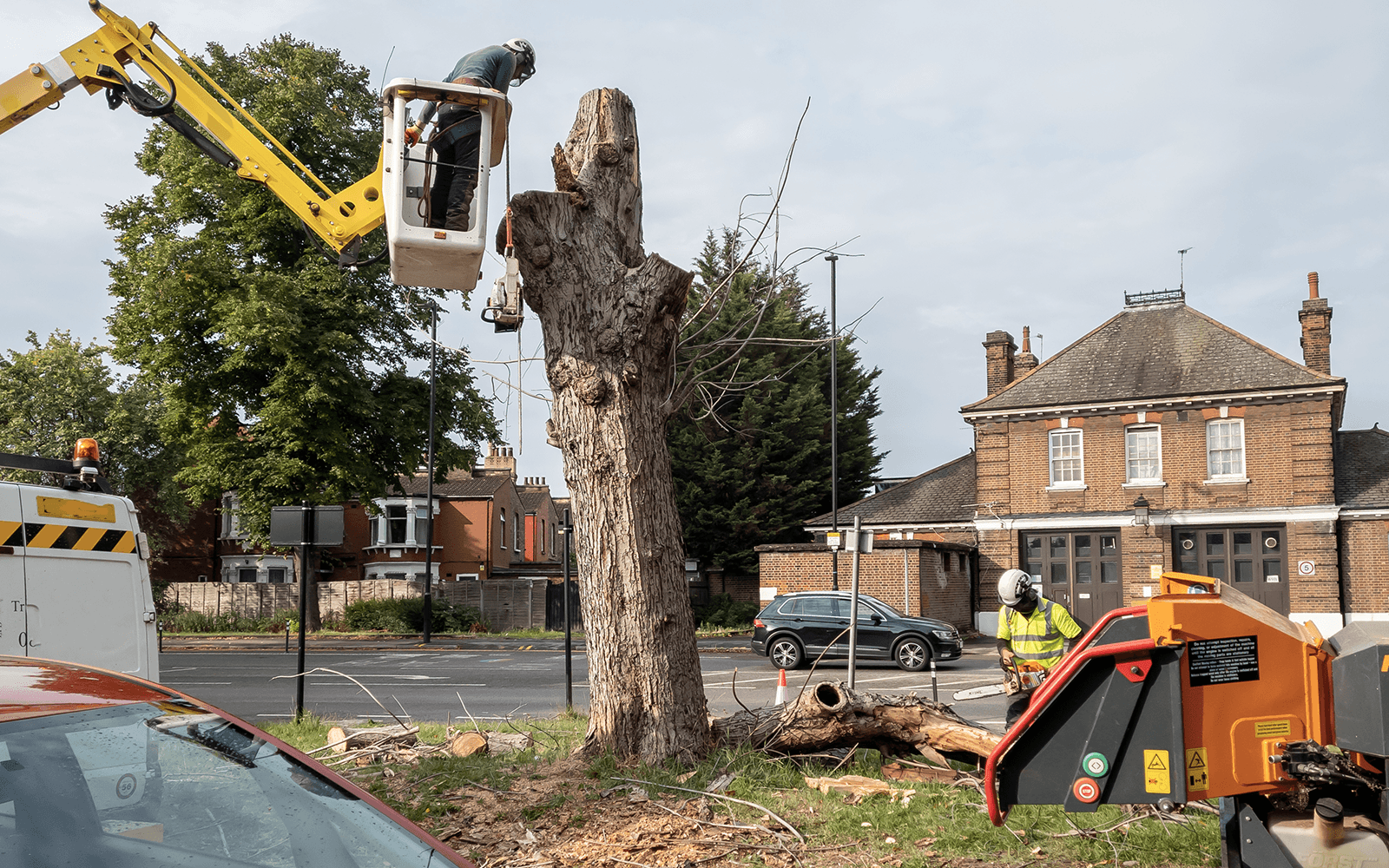 BJs Tree Surgery Work